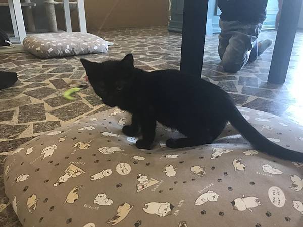 IMG_0019.JPG IMG_0019.JPG