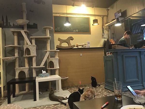 IMG_0055.JPG IMG_0055.JPG