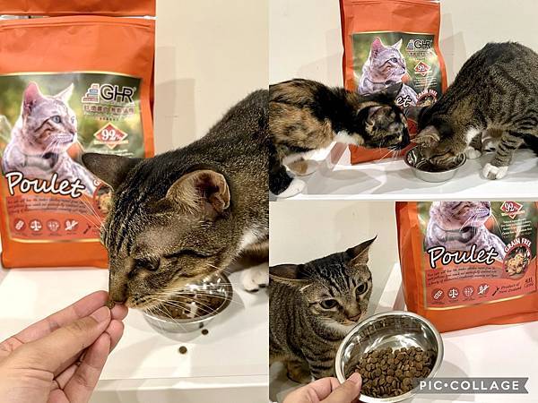【喵的罐罐】乾飼料還是罐頭好?用「GHR健康主義」無穀貓糧%26;主食罐乾溼搭配!推薦54.jpg