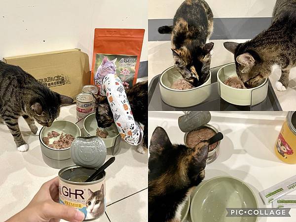 【喵的罐罐】乾飼料還是罐頭好?用「GHR健康主義」無穀貓糧%26;主食罐乾溼搭配!推薦52.jpg