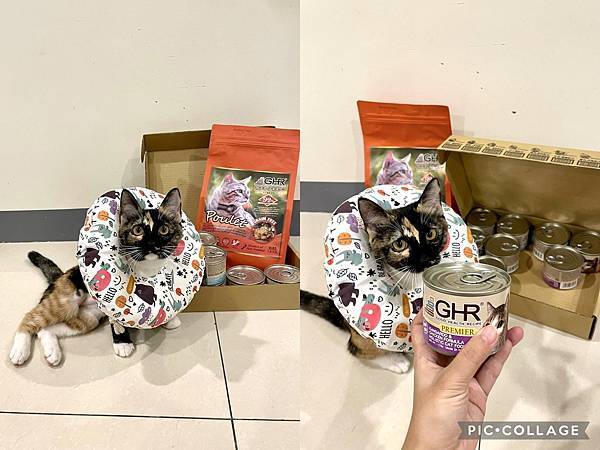 【喵的罐罐】乾飼料還是罐頭好?用「GHR健康主義」無穀貓糧%26;主食罐乾溼搭配!推薦51.jpg