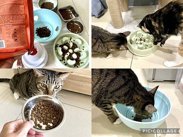 【喵的罐罐】乾飼料還是罐頭好?用「GHR健康主義」無穀貓糧%26;主食罐乾溼搭配!推薦53.jpg