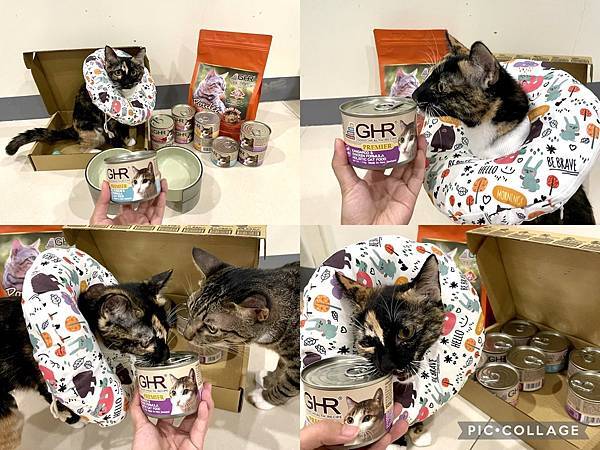 【喵的罐罐】乾飼料還是罐頭好?用「GHR健康主義」無穀貓糧%26;主食罐乾溼搭配!推薦56.jpg
