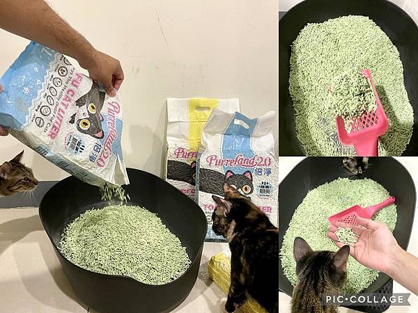 【喵的貓砂】條形豆腐砂讓家遠離沙漠！無香超凝結力「倍淨2.0豆腐貓砂」推薦5★3.jpg