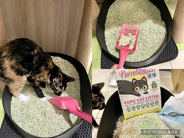【喵的貓砂】條形豆腐砂讓家遠離沙漠!無香超凝結力「倍淨2.0豆腐貓砂」推薦54.jpg