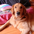 DSC01485.JPG