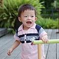 DSCF6554.JPG