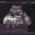 baby-019.jpg