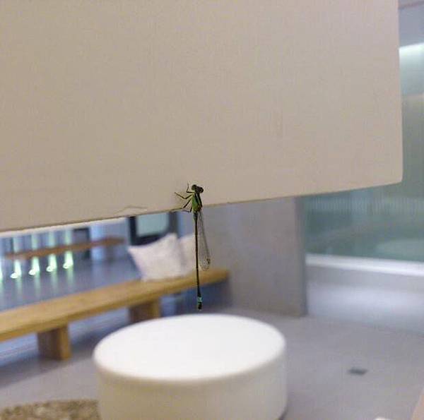 【關於診所】診所環境