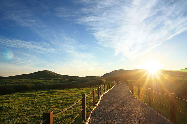 【心理諮商】治療師介紹-黃毓莉諮商心理師