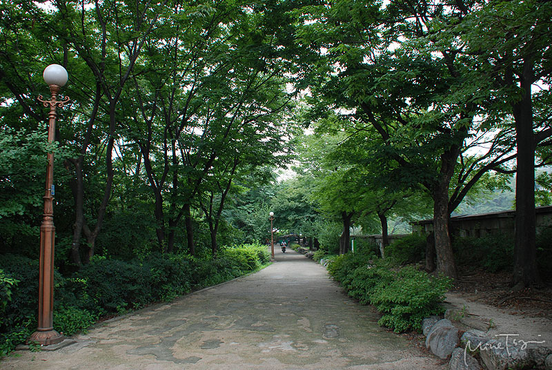 01 (11).jpg 01 (11).jpg