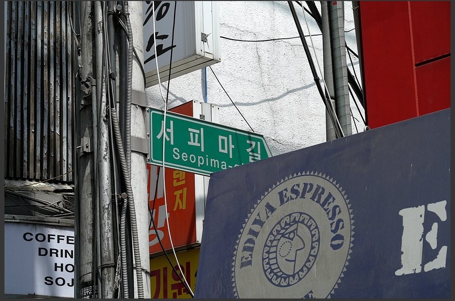 20081 20081