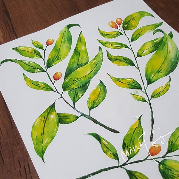 20170901_213315_mh1504272856812-1