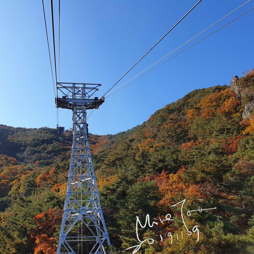 IMG_20191109_144958_538 IMG_20191109_144958_538