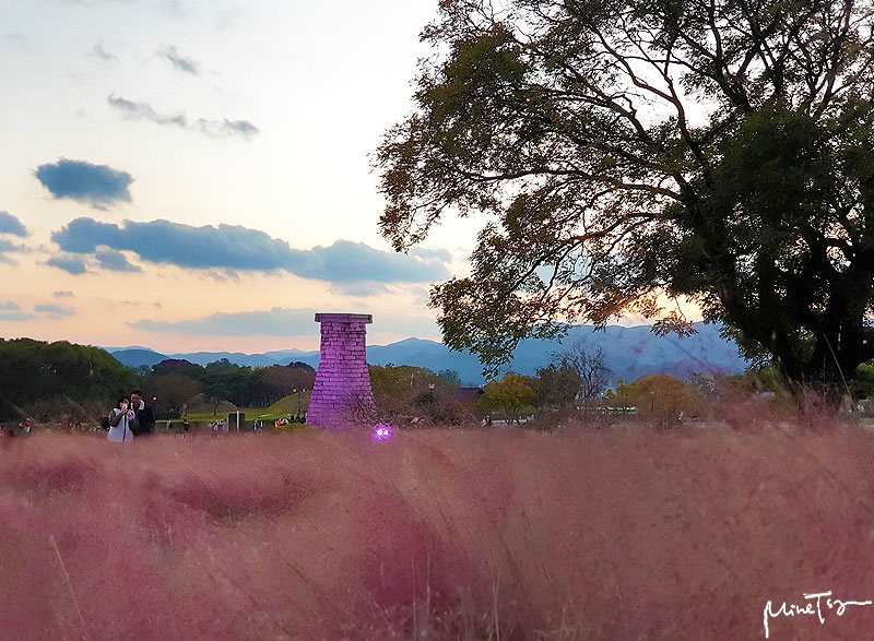 校村 02.jpg