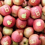1_apples_crop