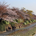 Kyoto_150330_0905.jpg