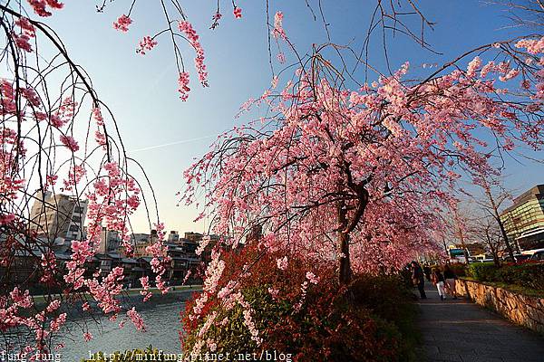 Kyoto_150331_1115.jpg