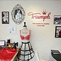 Triumph_030.jpg