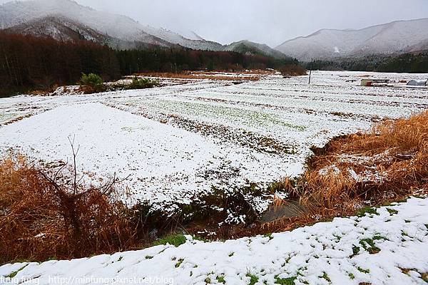 Aizu_151128_0027.jpg