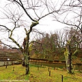 Aizu_151129_036.jpg