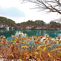 Aizu_151130_056.jpg