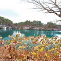 Aizu_151130_058.jpg