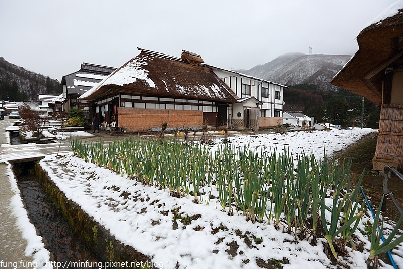 Aizu_151128_0116.jpg