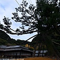 Kyushu_171217_170.jpg