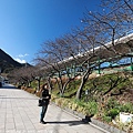 Izu_180113_012.jpg