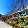 Izu_180113_014.jpg