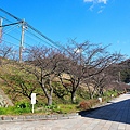 Izu_180113_023.jpg