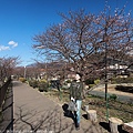 Izu_180113_063.jpg