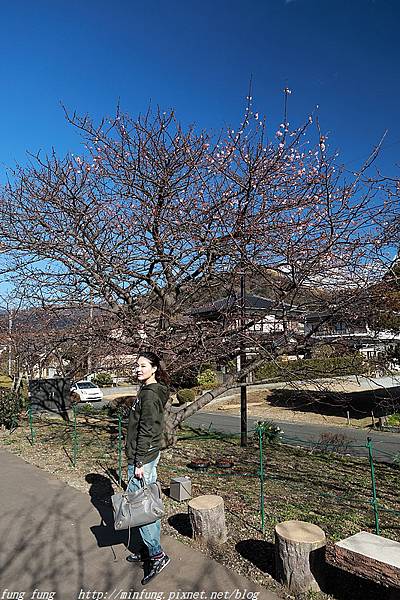 Izu_180113_065.jpg