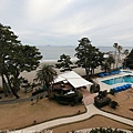 Izu_180112_183.jpg