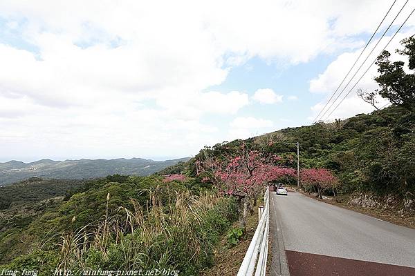 Okinawa_1801_0232.jpg