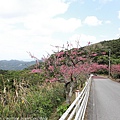Okinawa_1801_0233.jpg