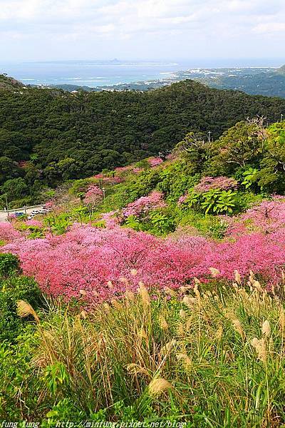 Okinawa_1801_0500.jpg