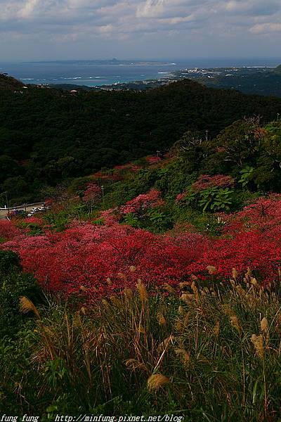 Okinawa_1801_0501.jpg