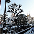 Kanto_180123_110.jpg