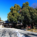 Kanto_180125_314.jpg