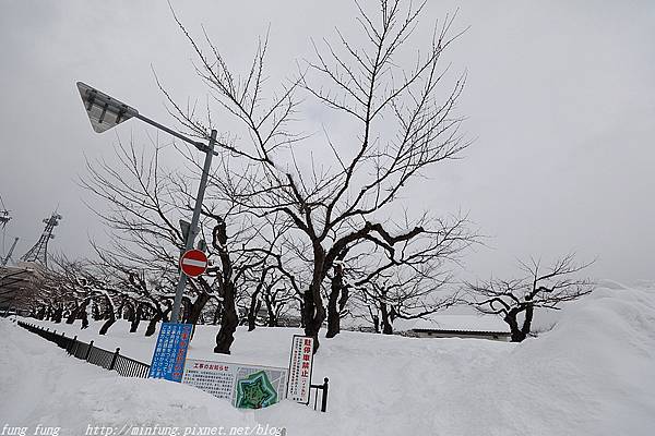 Hokkaido_1802_0957.jpg