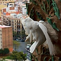 Barcelona_120427_215.jpg