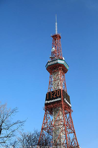 Hokkaido_190110_092.jpg