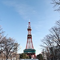 Hokkaido_190110_137.jpg