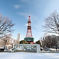 Hokkaido_190110_146.jpg