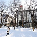 Hokkaido_190110_162.jpg