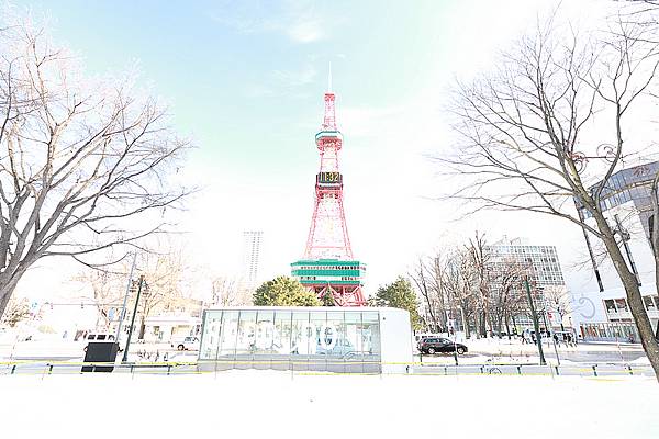 Hokkaido_190110_177.jpg