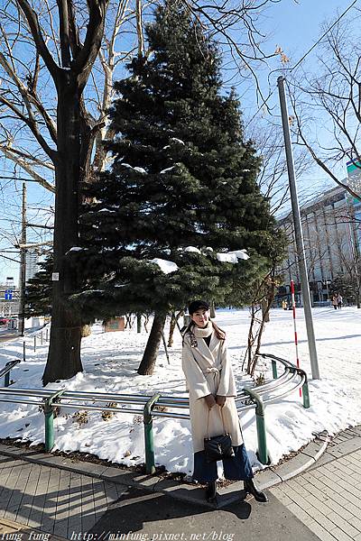 Hokkaido_190110_205.jpg