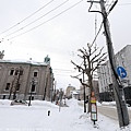 Hokkaido_190111_0304.jpg